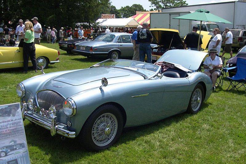 Austin Healey Histoire