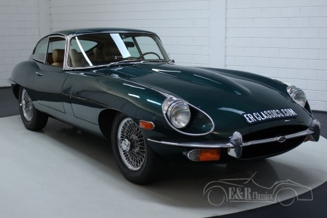 Jaguar a 317